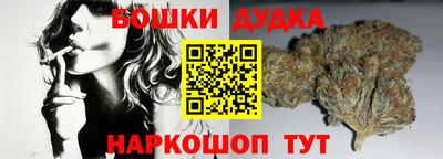 МДПВ Дубна