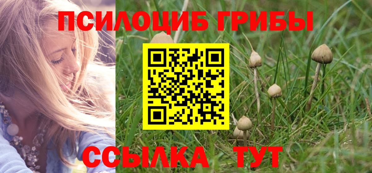 Псилоцибиновые грибы мицелий Нурлат